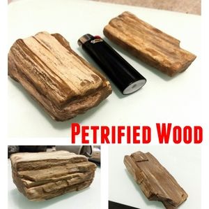 Petrified Wood